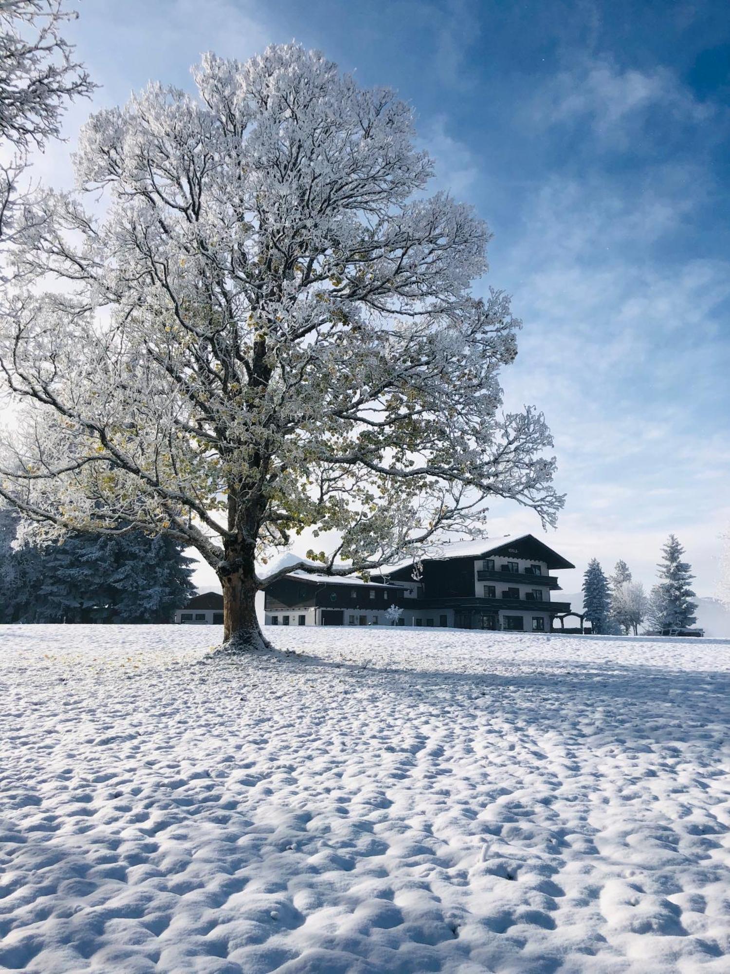 Kraftplatz Am Dachstein - Herold - Fuer Ruhesuchende Und Sportlich Aktive รัมเซา อัม ดาคชไตน์ ภายนอก รูปภาพ